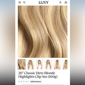 Classic Dirty Blonde 20” Clip-In Hair Extensions 160g